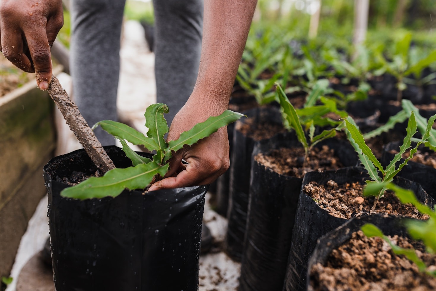 10 Engaging Eco-Friendly Activities for Families